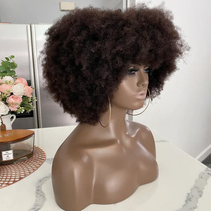 4C Afro 13x6 Lace Front Wig with Bangs - Image 3