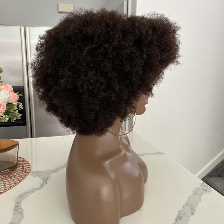 4C Afro 13x6 Lace Front Wig with Bangs - Image 4