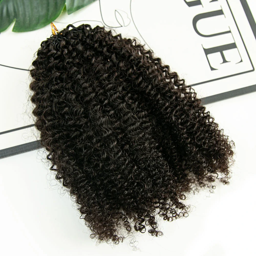 Afro Kinky Curly Human Crochet Hair - Image 3
