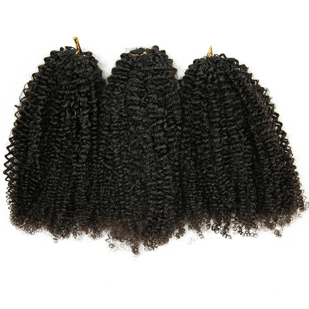 Afro Kinky Curly Human Crochet Hair - Image 7