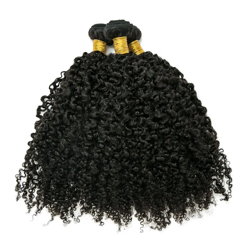Cambodia Virgin Hair Multi-Textured Kinky Curly Weft Bundles Human Hair