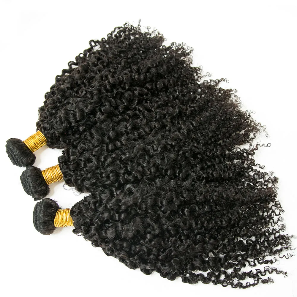 Cambodia Virgin Hair Multi-Textured Kinky Curly Weft Bundles Human Hair - Image 4