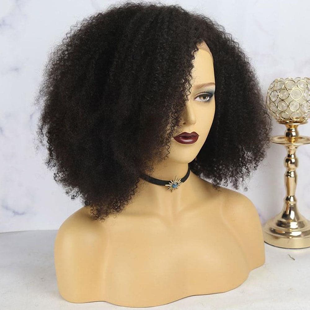 Nina Afro 13x6 Lace Front Wig - Image 6