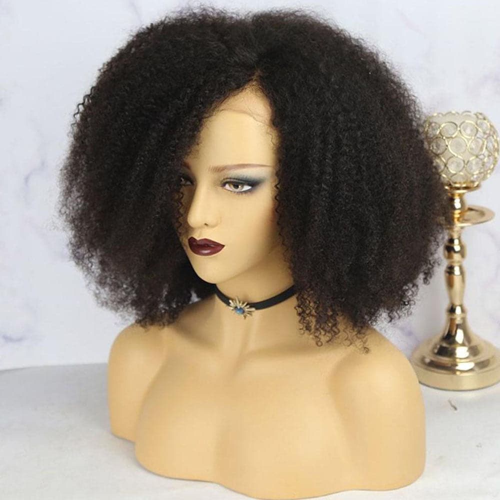 Nina Afro 13x6 Lace Front Wig - Image 7